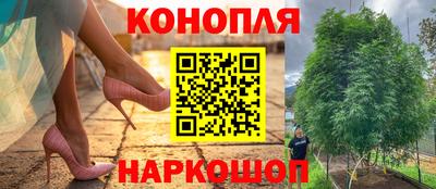 дмт Бузулук