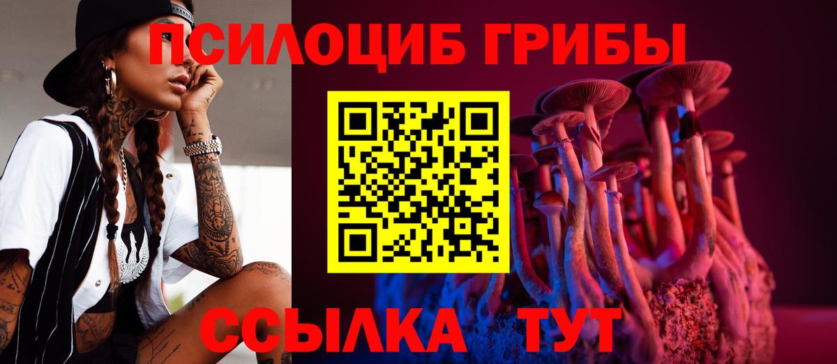 Псилоцибиновые грибы прущие грибы Крымск