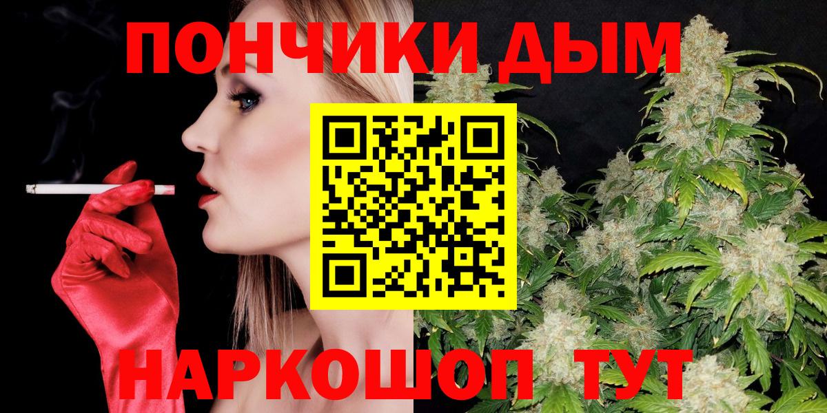 Конопля сатива Крымск